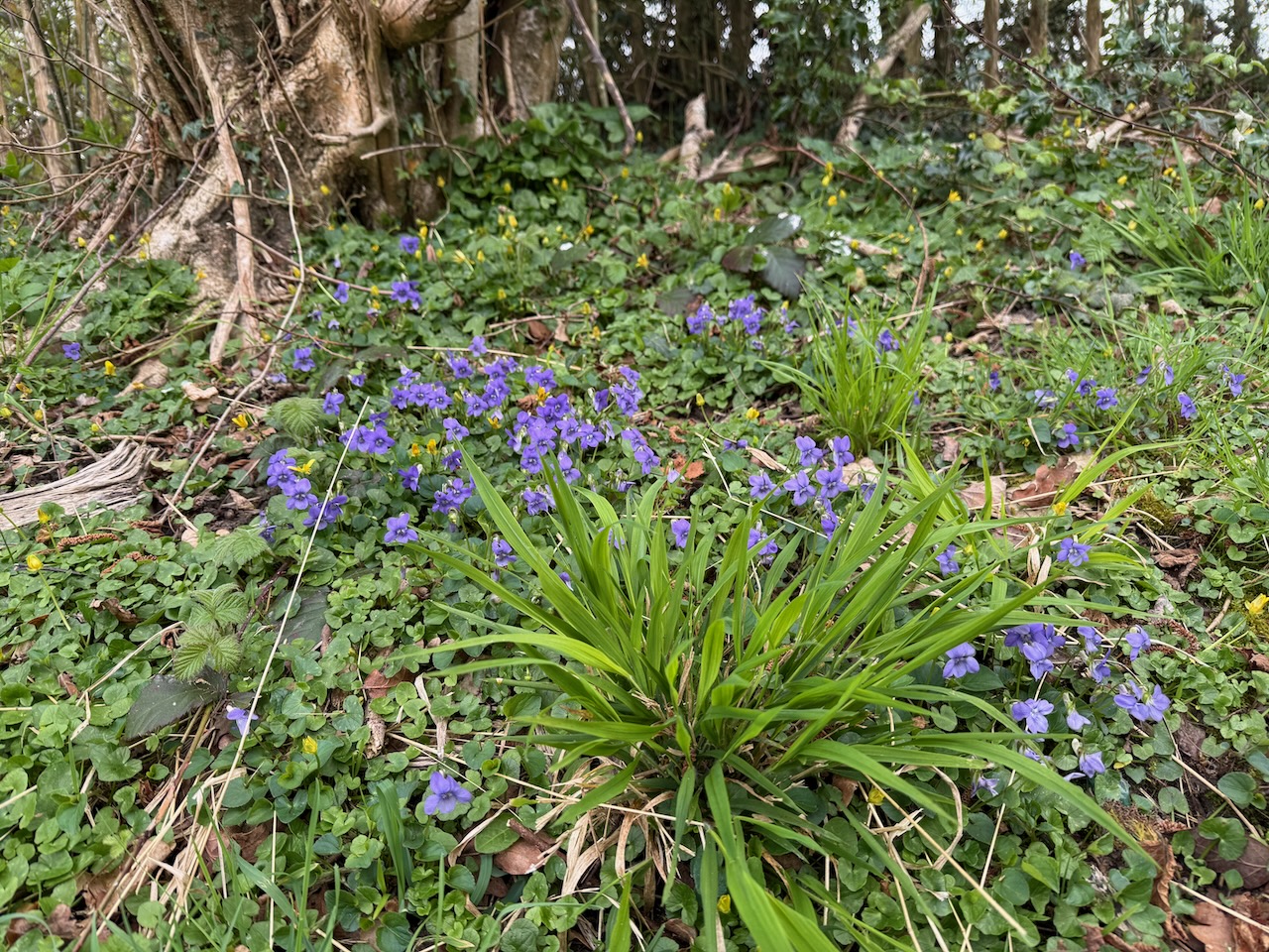 Longer Days and Spring is on its way!