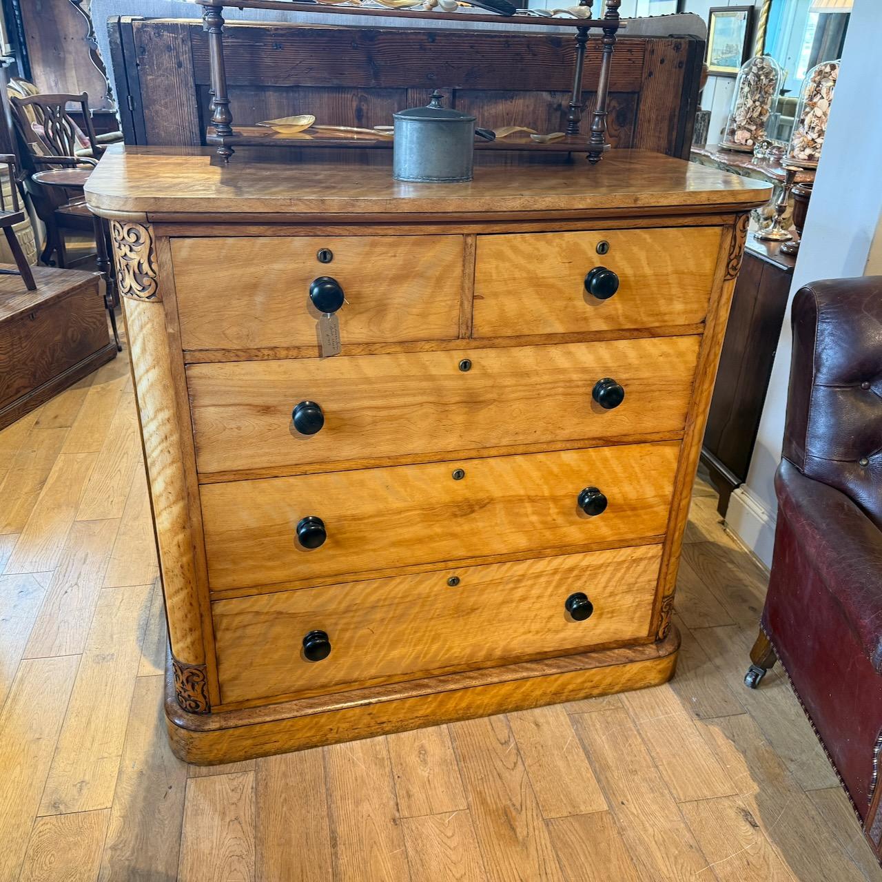 William IV Satin Birch Chest of Drawers