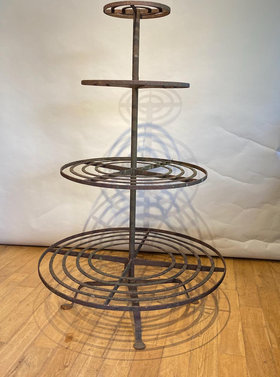 Wrought Iron Conservatory Plant Stand